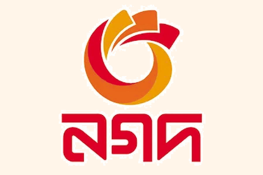 nagad logo