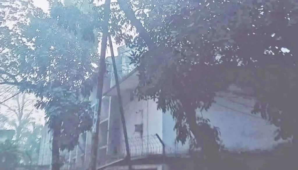 ঢাবি এলাকায় গাছে ঝুলন্ত ম*রদেহ