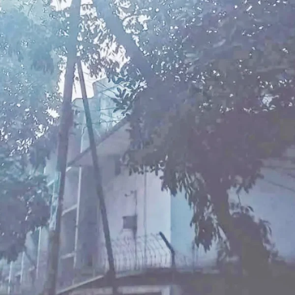 ঢাবি এলাকায় গাছে ঝুলন্ত ম*রদেহ
