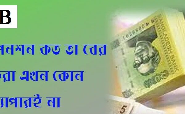 নিজের পেনশন নিজেই হিসাব করে বের করুন